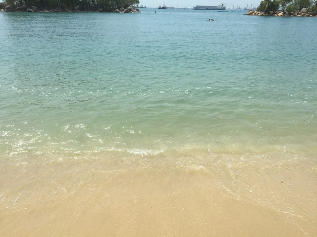 海