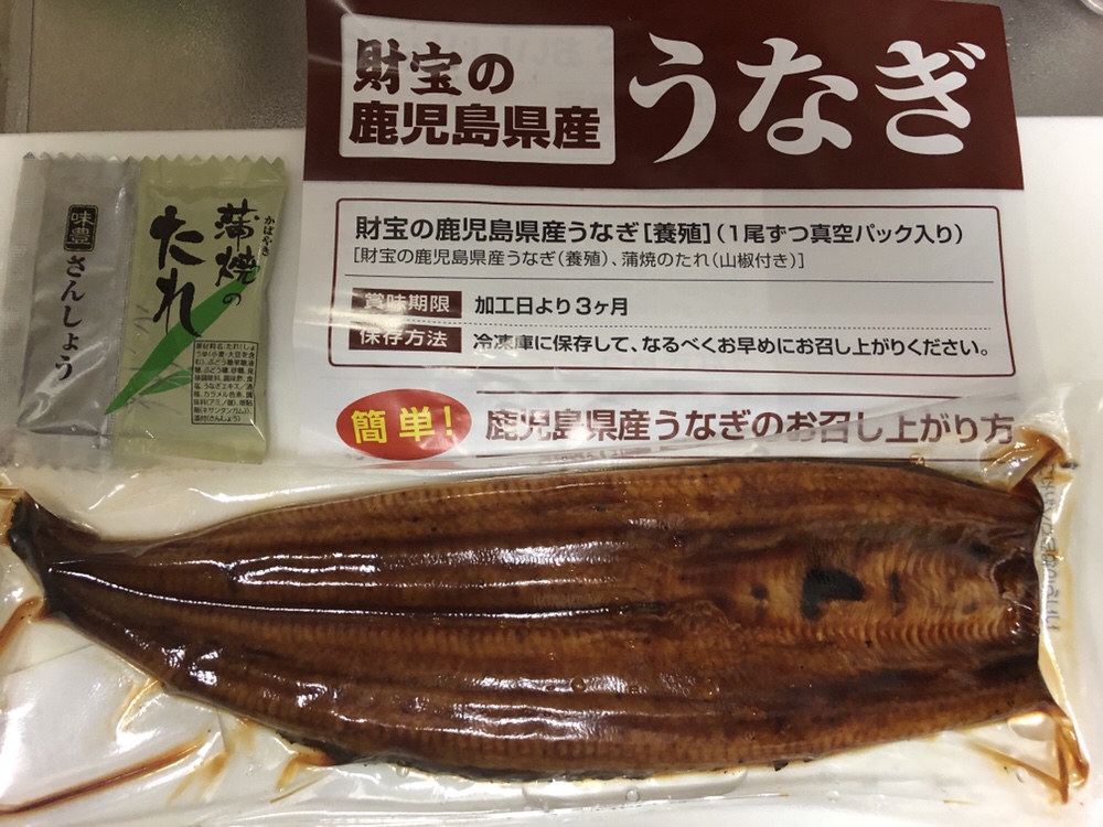 ウナギ