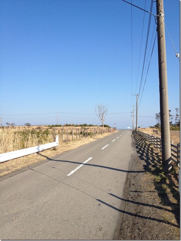 IMG_2040 IMG_2040