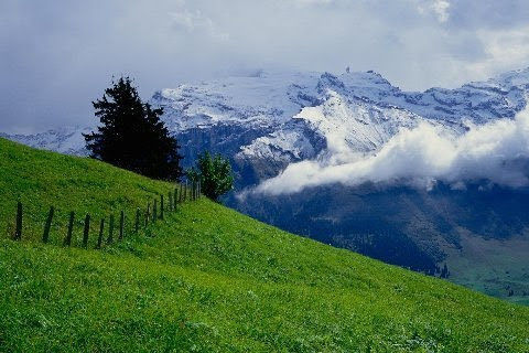 mountain