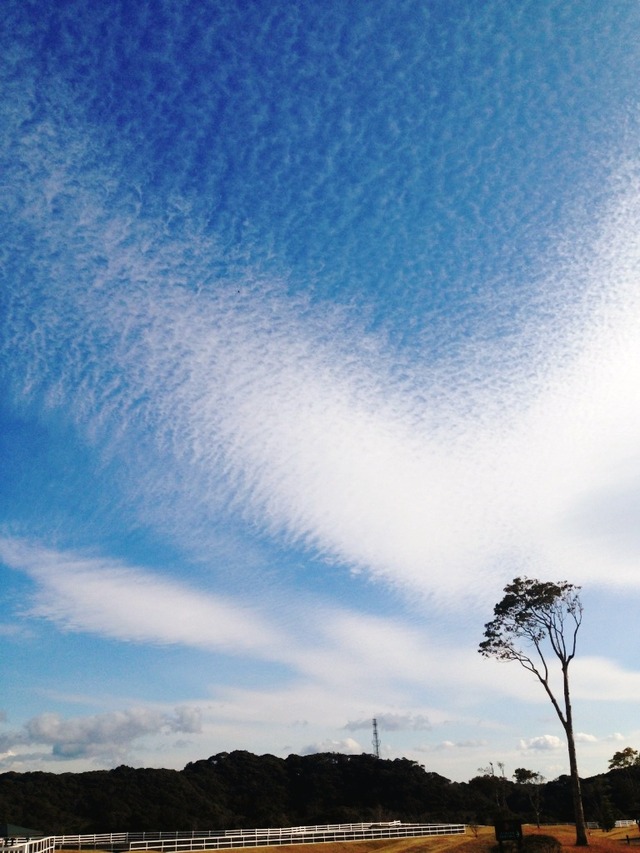 2012-04-14 1868